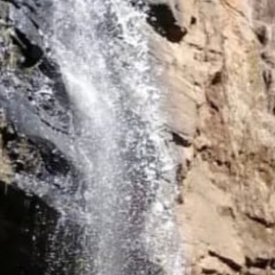 carlos58868769's profile image