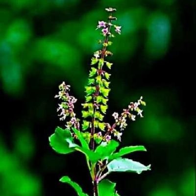 Divyans86481547's profile picture. Sci-tech