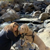 Cheryl Hilty Orr, MD, FASA, DFPM (@hiltyorr_md) 's Twitter Profile
