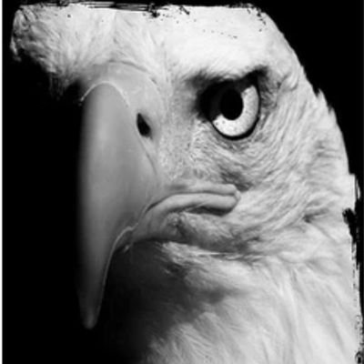 Erman56769585's profile picture. 