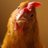 chickenのアイコン