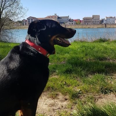 DuboisT03417191's profile picture. Mon charme