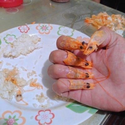handle_it_stina's profile picture. lurker. science. expert snot-rocketeer.