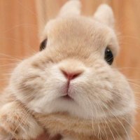 ์์ (@suhsuh9_) 's Twitter Profile Photo ์์ (@suhsuh9_) 's Twitter Profile Photo