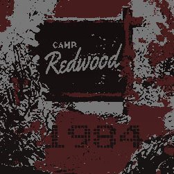 The official Twitter for REDWOOD; a 3/3/3 retro, AHS 1984 inspired horror role-play forum hosted by Jcink! It's to die for.