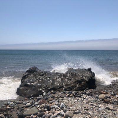 ETHbutterfly's profile picture. 