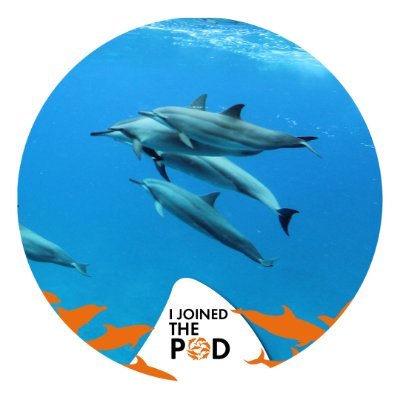 Protect_Dolphin Profile Picture