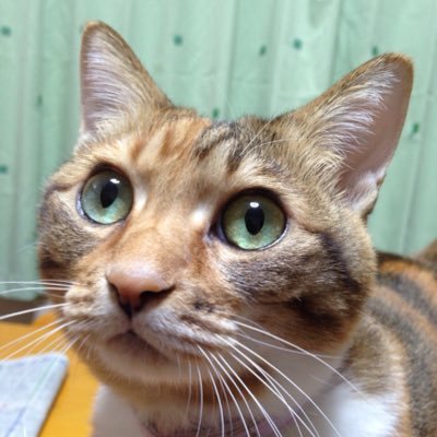 mamimom10's profile picture. 