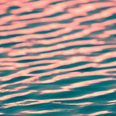 amsojjy's profile picture. No Hobbies🍂