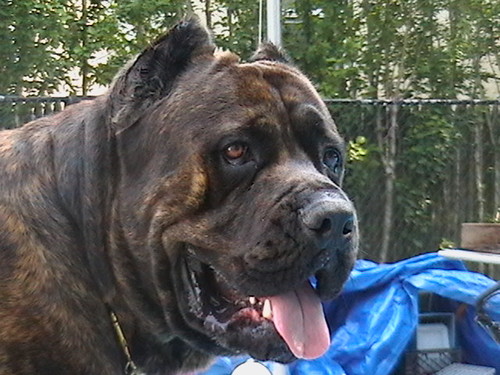 barryrclark's profile picture. President - Clark Futures Corporation