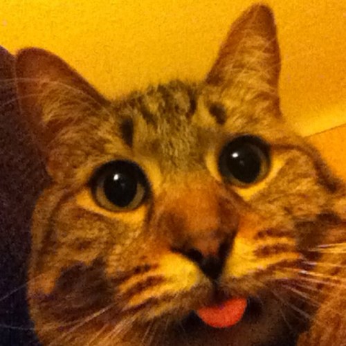 jamesmtbkr's profile picture. 