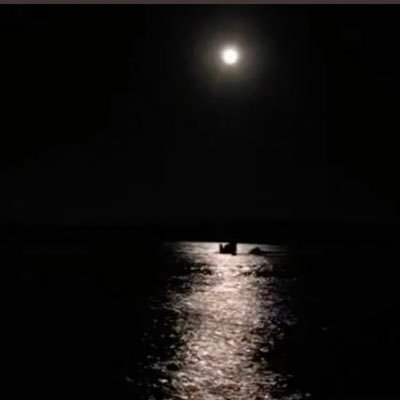 ibra94649334's profile picture. 