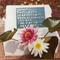 홍재경. 洪在炅 (@drhong21) 's Twitter Profile