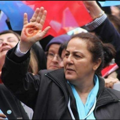 lkayzek2's profile picture. 