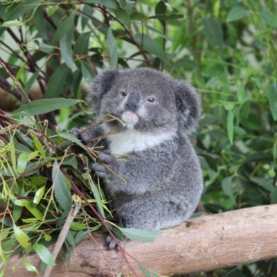 floppy939's profile picture. 