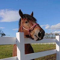Moth (@mathmath_inv) 's Twitter Profile