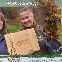 Kirsten Manley - Coed Cadw (@coed_cadw) 's Twitter Profile