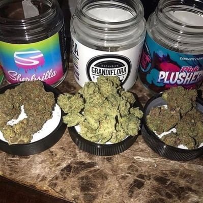 Cannabis Push 手押し木田 野菜手押しこまき 岩倉野菜 カモリ 手押し辻村 天白区マリファナ 手押し平針 清須芽 春日井大麻 鳴海雑草 名古屋手押し 東京野菜 日本野菜 手押し名古屋 札幌 T Co Ip8ee55auh 電報 T Co Cannabis Push 手押し木田 野菜手押しこまき 岩倉野菜 カモリ 手押し辻村 天白区マリファナ 手押し平針 清須芽 春日井大麻 鳴海雑草 名古屋手押し 東京野菜 日本野菜 手押し名古屋 札幌 T Co Ip8ee55auh 電報 T Co