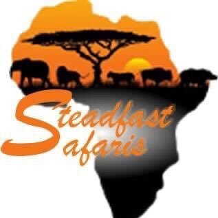 Steadfast Safaris