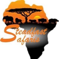 Steadfast Safaris(@SteadfastSafar2) 's Twitter Profile Photo