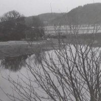 Ann Gibson (@gibsonannann) 's Twitter Profile