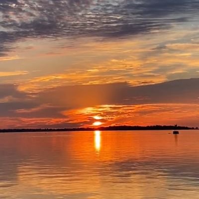 Jingtaopaizhuan's profile picture. 惊涛