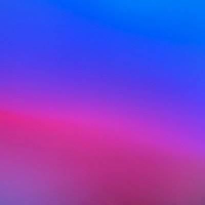 Henri Schauer Profile