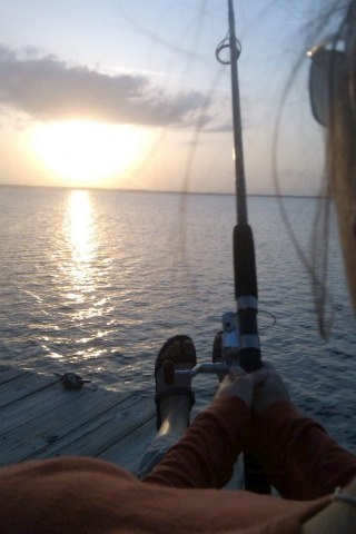 Autism4Now's profile picture. Wife, Mom and C.O.O. I love to talk politics and support Autism awareness. Strong moral compass w/o believing in God - yeah, think about that for a minute!