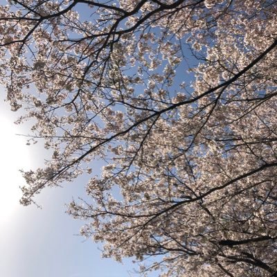 Bluesky始めてみました。
ID: kimagure-zzz
https://t.co/dFbdRpf2h2
最近は流し見中心で潜りがちです。