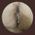 Don (@dididewaa19) Twitter profile photo Don (@dididewaa19) Twitter profile photo