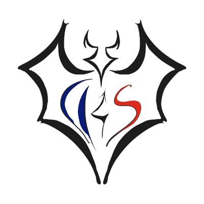 D4Motorsport's profile picture. Advanced Technologies in Automotive sector and Motorsport