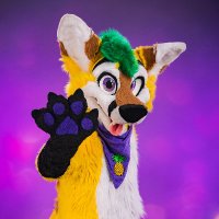 Pineapple Fox(@ThePineappleFox) 's Twitter Profileg