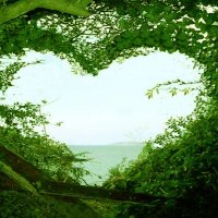 St. Anne ECO Team (@stanneeco1) 's Twitter Profile