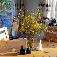 Marijke Wulp (@marijkewulp) 's Twitter Profile Photo