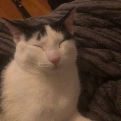 Raskalnikov05's profile picture. 