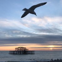 louise vinton (@lou05866611) 's Twitter Profile