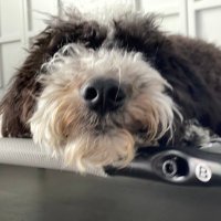 brian l (@litman44) 's Twitter Profile