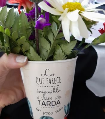 Trabajadora social -
3 décadas vividas
Medio Ambiente♻️ Fan de las plantas🌱                 
*Nahuel Pennisi*'s fan ♡