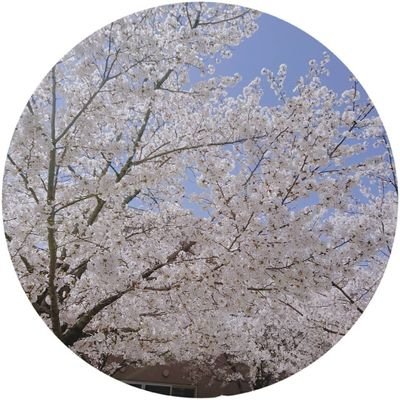 すとろぺりーさんのプロフィール画像