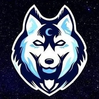 nelson_hbs's profile picture. https://t.co/KN8w9XvpFM