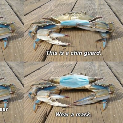 AndZawThis's profile picture. Ravens, Orioles, Devils, Dortmund, Calvert Hall, what I say here are my own opinions, or other people's opinions that I find funny and retweet (mostly that one)