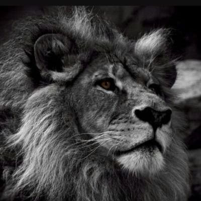 isarien_60's profile picture. 