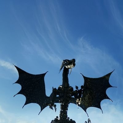 CryptoPhoenix6's profile picture. Hooligan