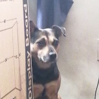 _mark_he's profile picture. 