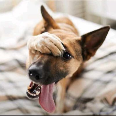 azazil_ellia's profile picture. the pain I was experiencing reminds me of still alive💪