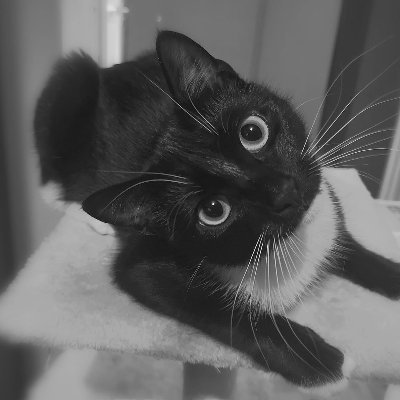 CharliD01's profile picture. You Matter