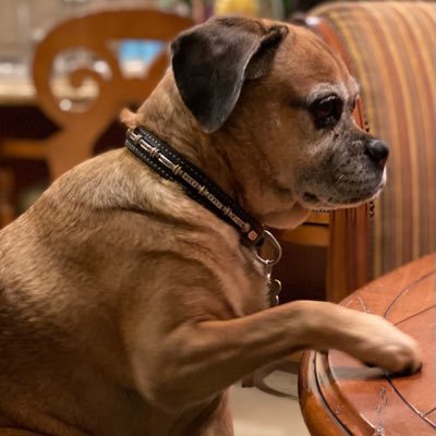 Ginger72903988's profile picture. Retired lawyer, skeptic, researcher of "conspiracy theories."  Knowledge is power, hubris is not.