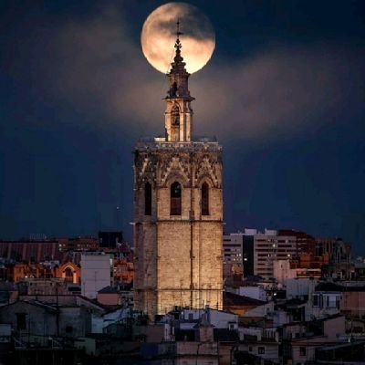 kamakiwole's profile picture. 