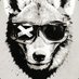 Buster Dogg (@busterdogg) Twitter profile photo Buster Dogg (@busterdogg) Twitter profile photo