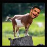 goatnextdoor1's profile picture. 